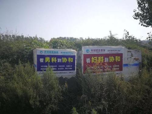 4-4 图为记者近日在河南开封拍摄。新华社记者 乌梦达 摄