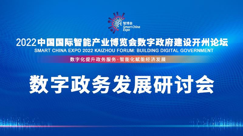 数字政务发展研讨会