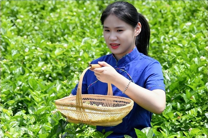 传统的福州茉莉花茶借力电商香飘世界