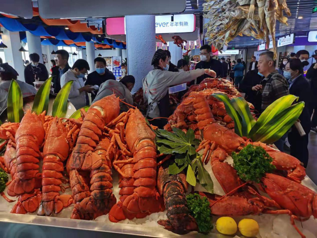 2021大连春季促消费大连国际龙虾节来啦鲜活龙虾等你开宴